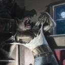/     tavern >ᴗ< Discord Server Banner