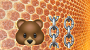 Berachain Discord Server Banner