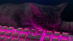 haunt Discord Server Banner