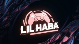 ʟɪʟ ʜᴀʙᴀ ɢᴀᴍɪɴɢ Discord Server Banner