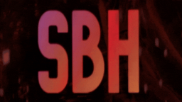 SkyBlock Hub Discord Server Banner