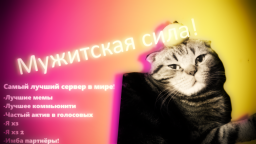 ๐๐๐ ๐๐ฆ๐ค๐๐ฃ๐ ๐ ๐ ๐๐๐๐๐๐ ๐ Discord Server Banner