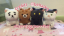 Cat’s Tail  ᗢ Discord Server Banner