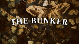 THE BUNKER ˚⊹. ࣪ Discord Server Banner