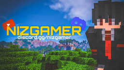 Niz Gamer Discord Server Banner