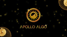 Apollo Algo Discord Server Banner
