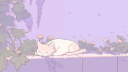 Recanto dos Sentimentos Discord Server Banner