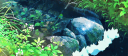 Giveaway Cafe Discord Server Banner