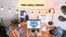 The PIMG USMLE server Discord Server Banner
