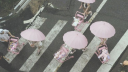 Copito’s Gang Discord Server Banner