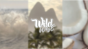 𝑾𝒊𝒍𝒅 𝑾𝒆𝒔𝒕 Discord Server Banner