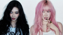 Nkc's Discord🎃ྀིྀིྀ Discord Server Banner