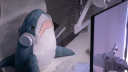 ˢᵛᵇ 🌊 .⋆ Fly With Shark ⋆. 🦈 Discord Server Banner