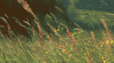 The Art of Poetry Discord Server Banner