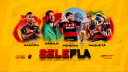 FlaDiscord #PeloHexa Discord Server Banner