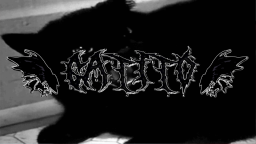 gatito ♱ social Discord Server Banner