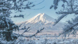 Sense of place Discord Server Banner