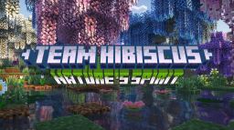 Team Hibiscus Discord Server Banner