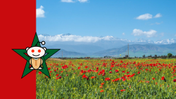 r/Morocco Discord Server Banner