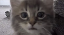ʟᴛᴇᴀᴍ Discord Server Banner