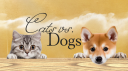 𝘊𝘢𝘵𝘴 𝘷𝘴. 𝘋𝘰𝘨𝘴 Discord Server Banner