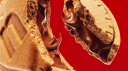 Server 4D Discord Server Banner