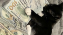 Kalyug—वासी🧿 Discord Server Banner
