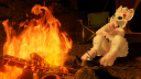 Cat Collective Discord Server Banner