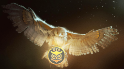 Open-Tibia Academy Discord Server Banner