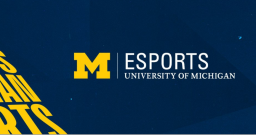 Michigan Esports Discord Server Banner