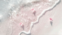 Vibe Aura Discord Server Banner