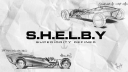𝗦.𝗛.𝗘.𝗟.𝗕.𝗬 Discord Server Banner