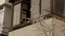 🕯　⊹　ℓana　₊　decor𓂃pfps　♱ Discord Server Banner