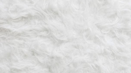 rose Discord Server Banner