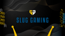 Slug Gaming Discord Server Banner