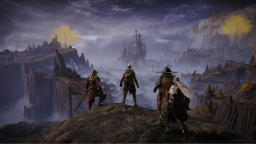 ER Seamless Coop Discord Server Banner