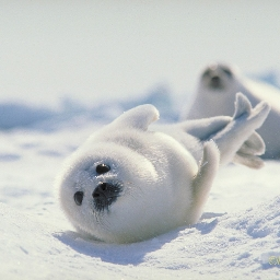 The Positivity Network™ Discord Server Banner