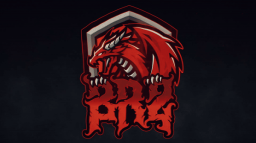BRZ ORGANIZATION Discord Server Banner