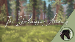 The Dressage Academy Discord Server Banner