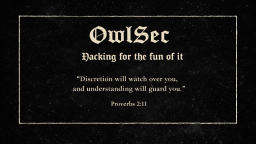OwlSec Discord Server Banner