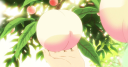˚🍑　/koala-tea cafe　≋ Discord Server Banner