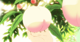 ˚🍑 /koala-tea cafe ≋ Discord Server Banner