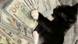 /flickz Discord Server Banner