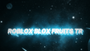 Roblox Blox Fruits TR Discord Server Banner
