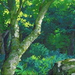 π³ The Magic Forest π³ Discord Server Banner