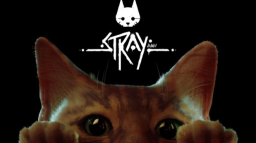 Stray Discord Server Banner
