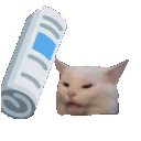 slapcat emoji