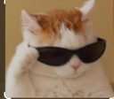 smartcat emoji