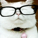 CatCool emoji
