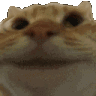 CatYes emoji
